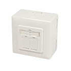 CAT6 UTP / STP pinta-asennuslaatikko, norsunluu